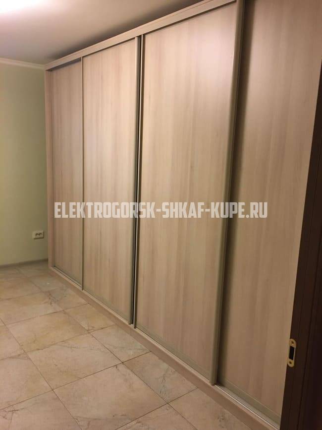 Шкафы-купе Электрогорск
