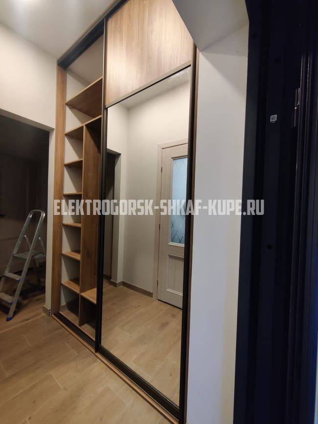 Встроенные шкафы-купе Электрогорск