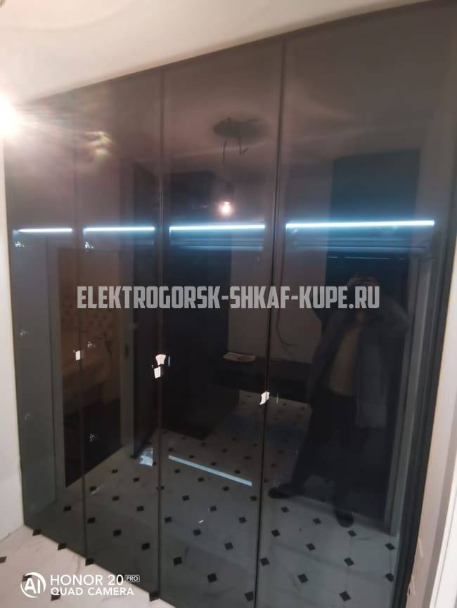 Распашные шкафы Электрогорск